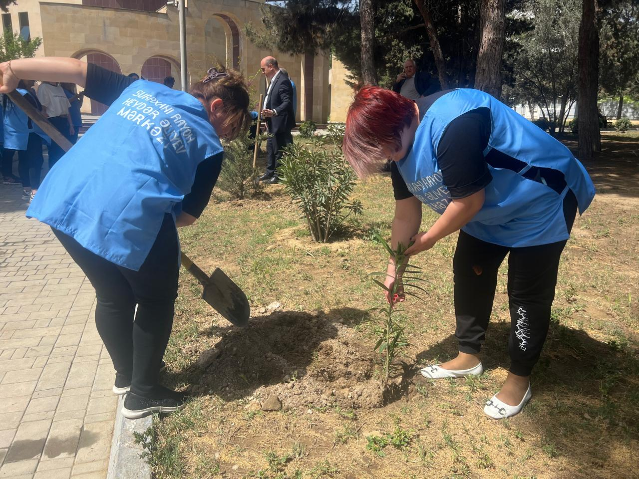 Suraxanıda Heydər Əliyev parkında ağac və gül kolları əkilib