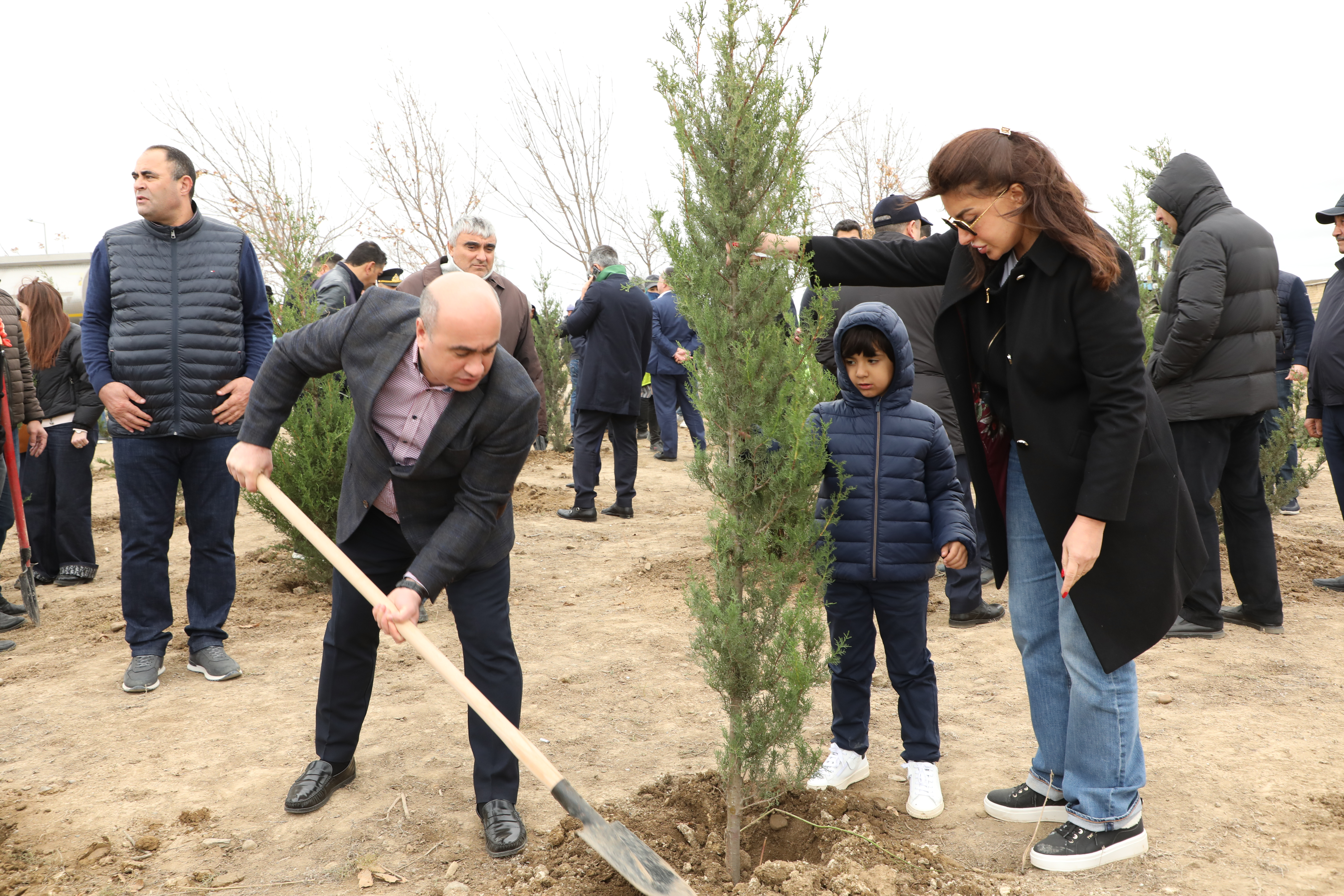 Suraxanıda ağacəkmə aksiyası keçirildi