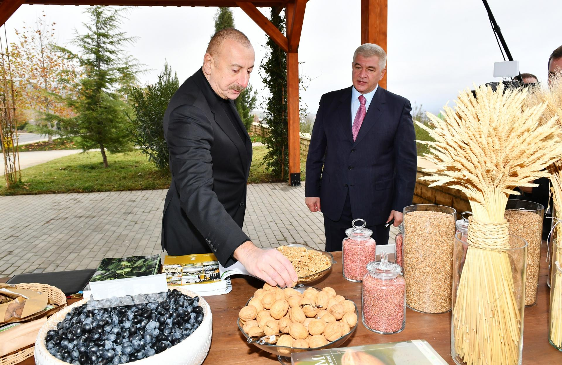 İlham Əliyev “Şəki-Oğuz” Aqroparkında yaradılan şəraitlə tanış olub