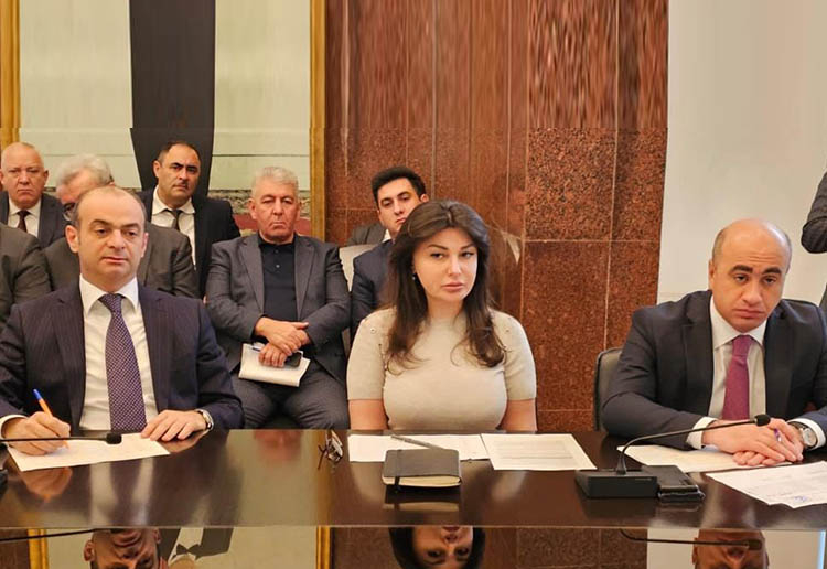 Suraxanıda növbəti vətəndaş qəbulu keçirilib