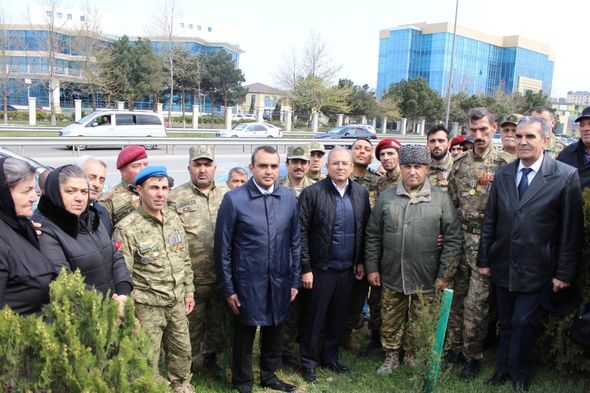 Səbail rayonunda “Heydər Əliyev İli” çərçivəsində ağacəkmə aksiyası keçirilib