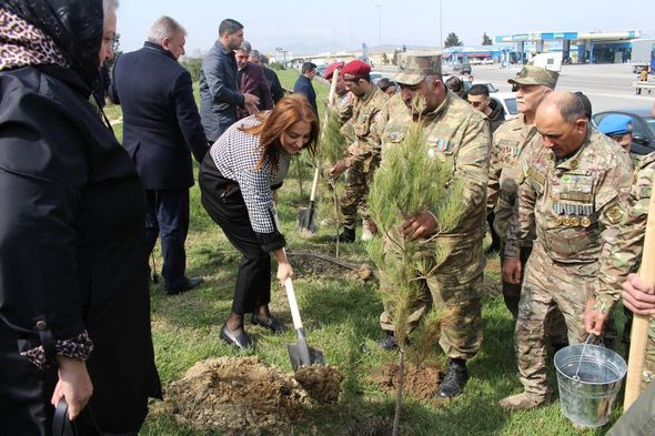 Səbail rayonunda “Heydər Əliyev İli” çərçivəsində ağacəkmə aksiyası keçirilib