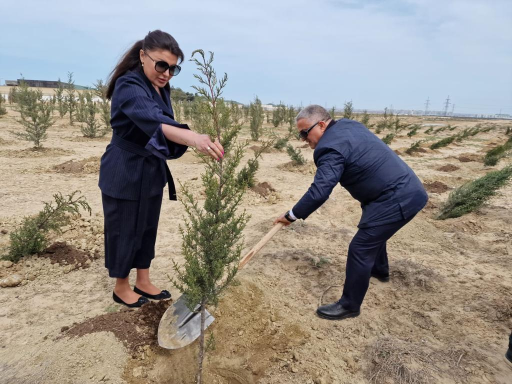 Ulu Öndər Heydər Əliyevin anadan olmasının 100 illiyinə həsr olunmuş ağacəkmə aksiyası keçirilib