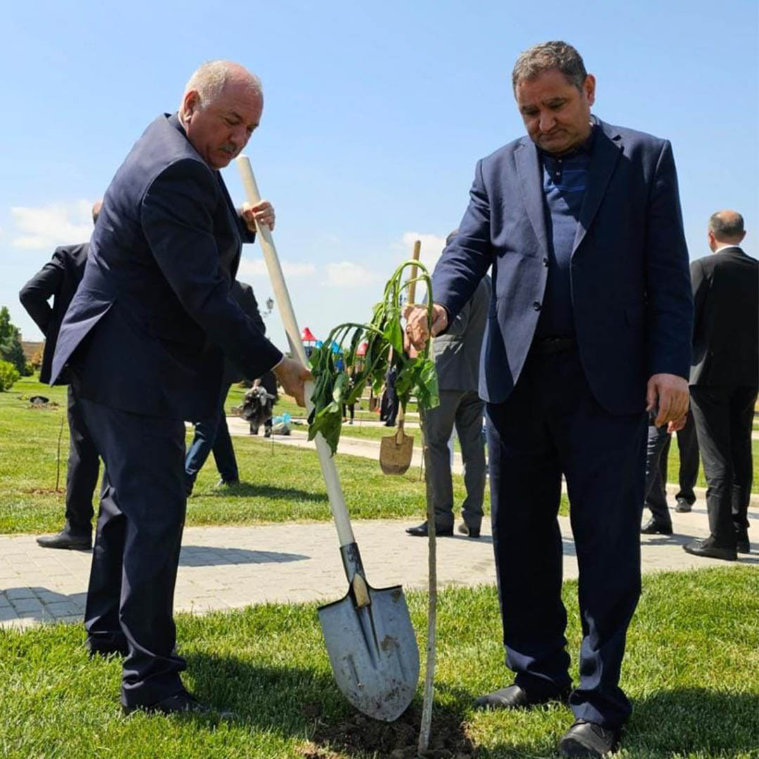 Bakıda “Heydər Əliyev İli” çərçivəsində ağacəkmə tədbiri keçirilib