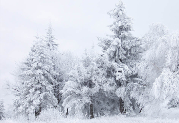 Qar yağacaq, temperatur aşağı enəcək