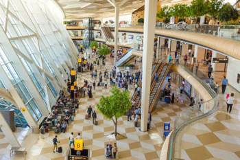 Bakı aeroportunda silahla tutulan şəxs şirkət rəhbəri olub