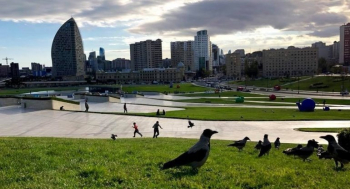 Sabahın hava proqnozu açıqlandı