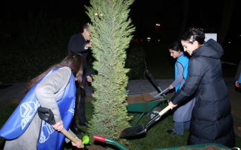 Leyla Əliyevanın təşəbbüsü ilə Bakıda ağacların qeydiyyatı və nömrələnməsi üzrə layihəyə start verilib