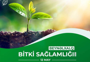 12 May - Beynəlxalq Bitki Sağlamlığı Günüdür